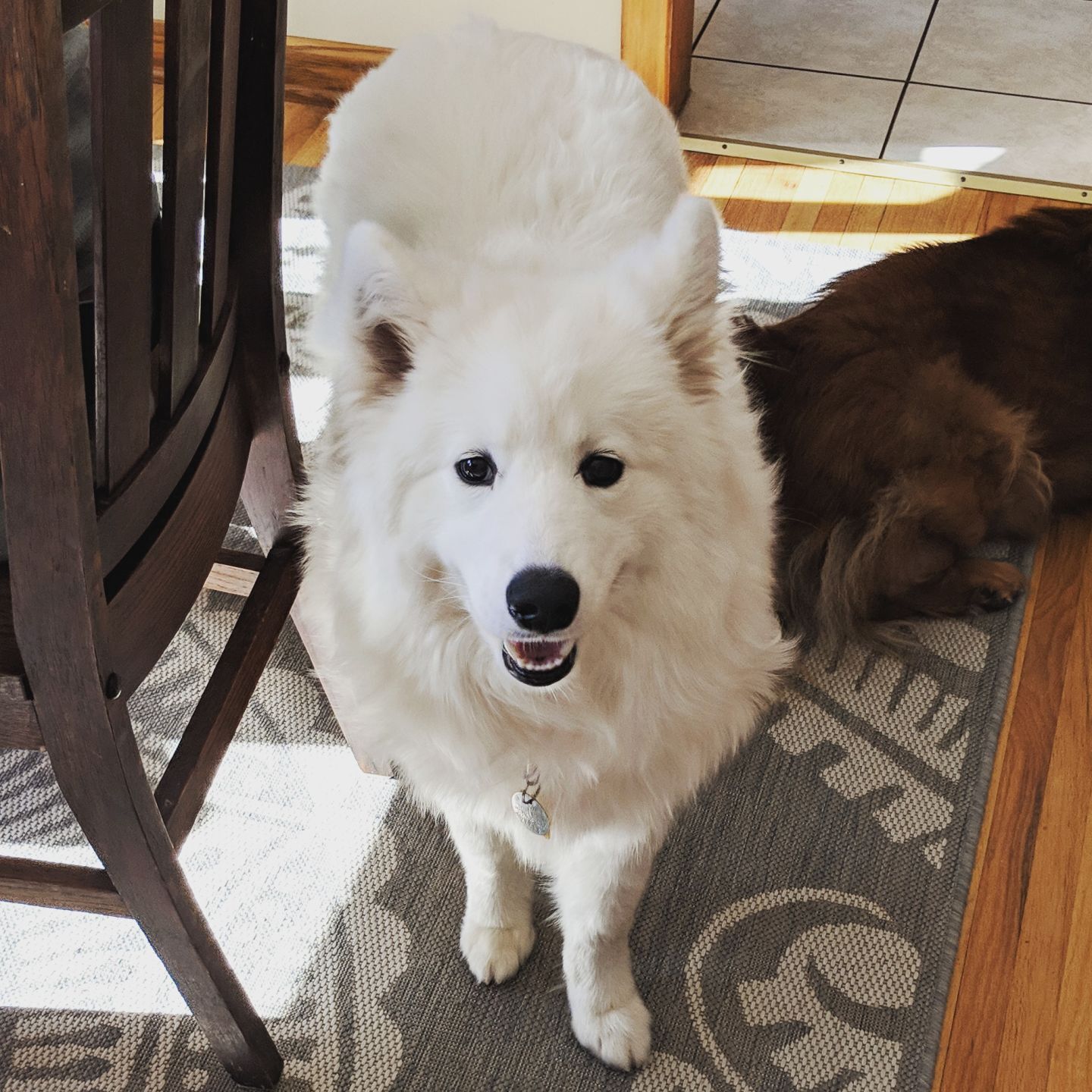 Lucy